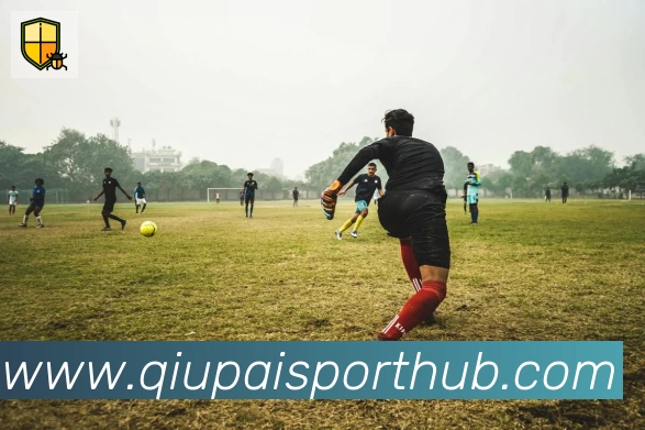 球派体育服务体系