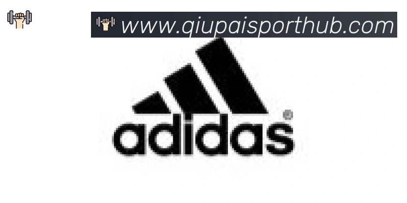 球派体育合作伙伴